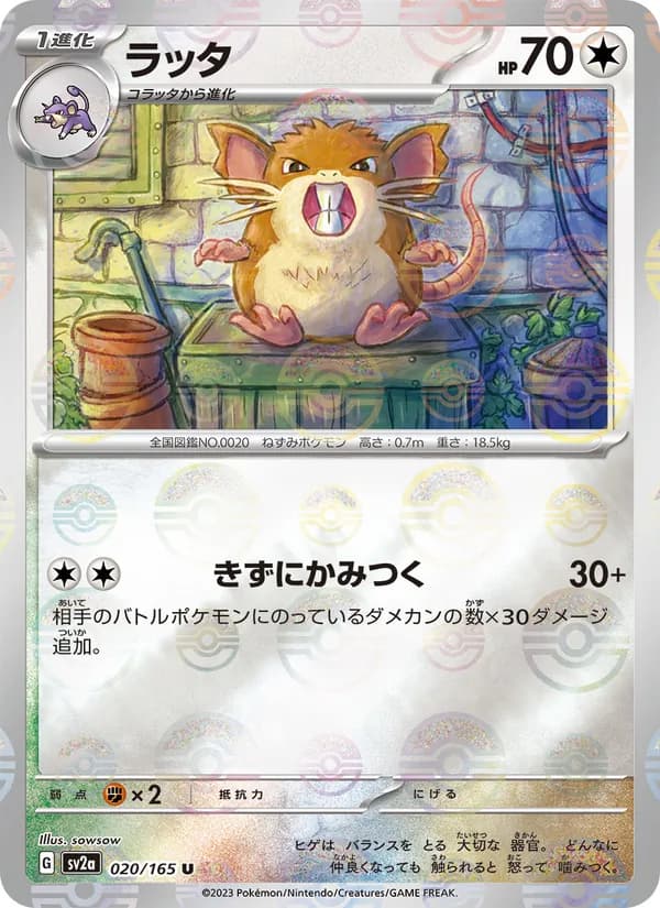 Raticate — Japanese Scarlet & Violet 151 #20, BGS 10