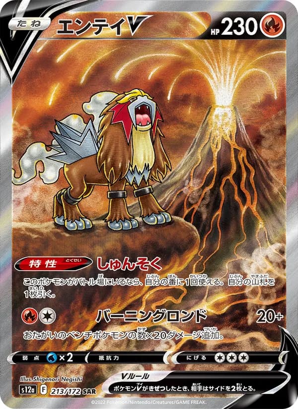 Entei V — Japanese VSTAR Universe #213, PSA 9