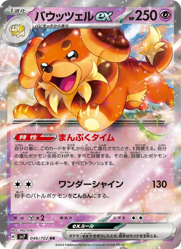Dachsbun ex — Japanese Stellar Miracle #46, CGC 10